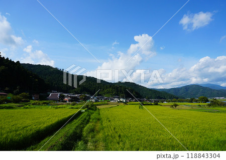 田舎の田んぼの景色 118843304