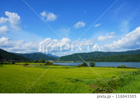余呉湖と田んぼの風景 118843305