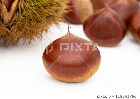 栗　クリ　 118843766