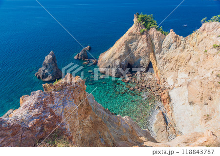 【静岡県】伊豆黄金崎の馬ロックと青い海 118843787