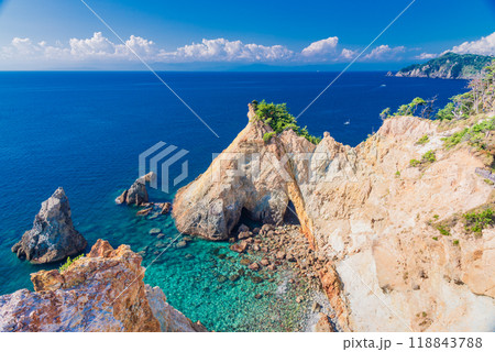【静岡県】伊豆黄金崎の馬ロックと青い海 118843788