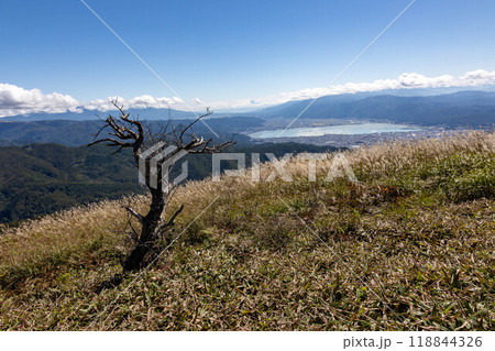 初秋の高ボッチ山頂より諏訪湖を望む 118844326