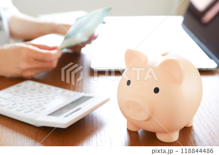 貯金、貯蓄、投資イメージ 118844486