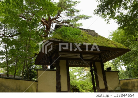 俳聖殿門 118844654