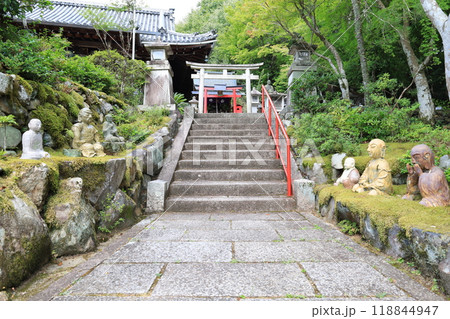 京都市にある三明院参道の風景 京都市にある三明院参道の風景 118844947