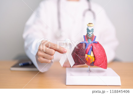 November Lung Cancer Awareness month. Doctor with Smoker Lung anatomy model and White ribbon in hospital. Healthcare and World Cancer day concept November Lung Cancer Awareness month. Doctor with Smoker Lung anatomy model and White ribbon in hospital. Healthcare and World Cancer day concept 118845406