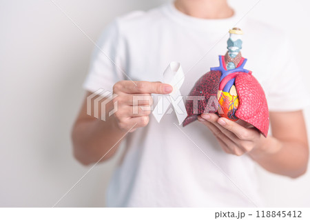 November Lung Cancer Awareness month. Doctor with Smoker Lung anatomy model and White ribbon in hospital. Healthcare and World Cancer day concept November Lung Cancer Awareness month. Doctor with Smoker Lung anatomy model and White ribbon in hospital. Healthcare and World Cancer day concept 118845412