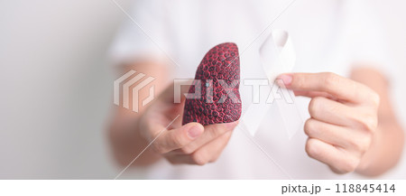 November Lung Cancer Awareness month. Doctor with Smoker Lung anatomy model and White ribbon in hospital. Healthcare and World Cancer day concept 118845414