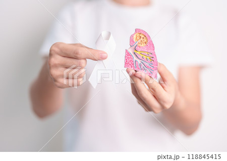 November Lung Cancer Awareness month. Doctor with Smoker Lung anatomy model and White ribbon in hospital. Healthcare and World Cancer day concept 118845415