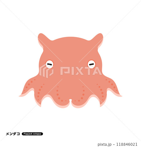 メンダコ イラストのイラスト素材 [118846021] - PIXTA