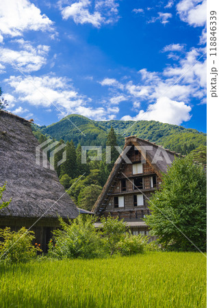【縦写真】白川郷の美しい風景 118846339