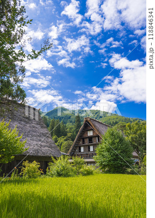 【縦写真】白川郷の美しい風景 【縦写真】白川郷の美しい風景 118846341