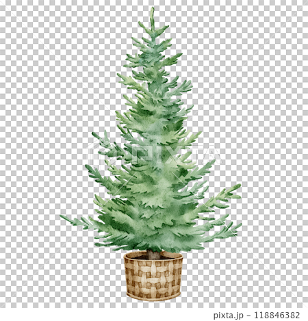 Watercolor Christmas Tree in a wicker basket. Hand drawn Illustration for Holiday Greeting Cards and New Year Invitations on isolated background. Drawing of evergreen Fir tree for Xmas design. 118846382