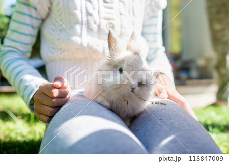 Little furry bunny sitting in a girls lap 118847009