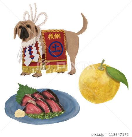 高知県のイラストセット 118847172