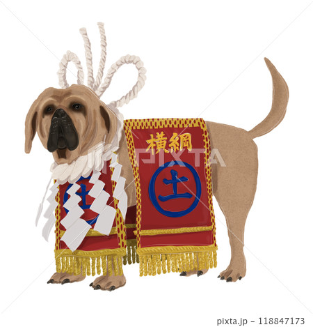 □土佐犬 闘犬用 横綱化粧まわし 一式□