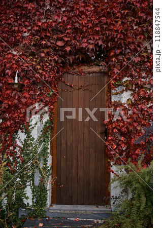 landscapes of an autumnal European village, Belgium, leaves colored by fall landscapes of an autumnal European village, Belgium, leaves colored by fall 118847544