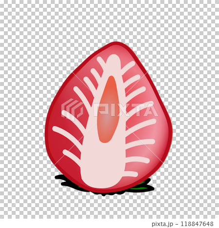 半分に切ったイチゴのイラスト 118847648