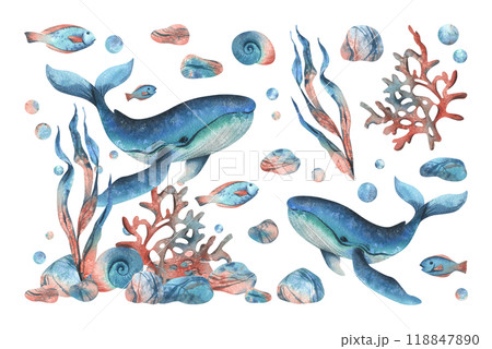 Underwater world clipart with sea animals whale, fishes, shells, coral and algae. Hand drawn watercolor illustration. Set of elements isolated from the background Underwater world clipart with sea animals whale, fishes, shells, coral and algae. Hand drawn watercolor illustration. Set of elements isolated from the background 118847890