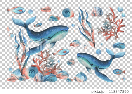 Underwater world clipart with sea animals whale, fishes, shells, coral and algae. Hand drawn watercolor illustration. Set of elements isolated from the background Underwater world clipart with sea animals whale, fishes, shells, coral and algae. Hand drawn watercolor illustration. Set of elements isolated from the background 118847890