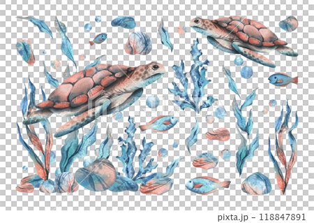 Underwater world clipart with sea animals turtle, fish, pebbles, bubbles, coral and algae. Hand drawn watercolor illustration. Set of elements isolated from the background 118847891