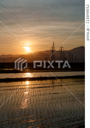 水田に反射する夕暮れ時の太陽と空（神奈川県平塚市） 118849052