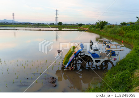 夕暮れ時の水田の田植機（神奈川県平塚市） 118849059