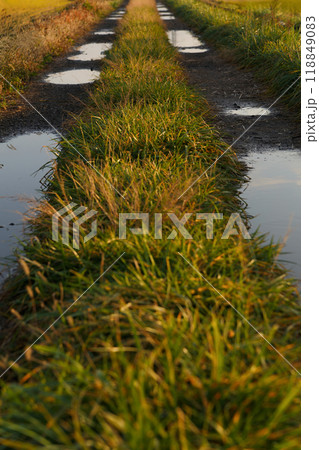 雨上がりの水たまりがたくさんある田舎道 雨上がりの水たまりがたくさんある田舎道 118849083