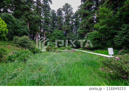 群馬県　榛東村　新井八幡神社　八幡ホタルの郷 118849253