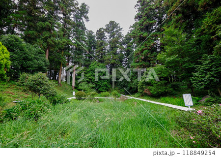 群馬県　榛東村　新井八幡神社　八幡ホタルの郷 118849254