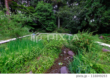 群馬県　榛東村　新井八幡神社　八幡ホタルの郷 118849263