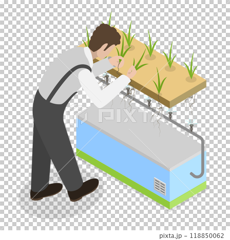 3D Isometric Flat Illustration of Hydroponics, Aeroponics And Aquaponics In Greenhouse. Item 3 3D Isometric Flat Illustration of Hydroponics, Aeroponics And Aquaponics In Greenhouse. Item 3 118850062