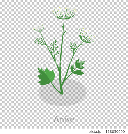 3D Isometric Flat Set of Healing Herbs. Item 4 3D Isometric Flat Set of Healing Herbs. Item 4 118850090