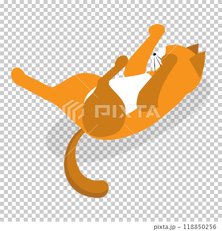 3D Isometric Flat  Set of Cats Behavior Poses. Item 4 118850256