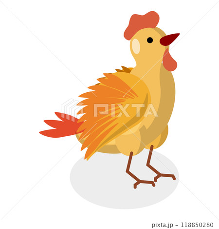 3D Isometric Flat  Set of Chickens. Item 6 118850280