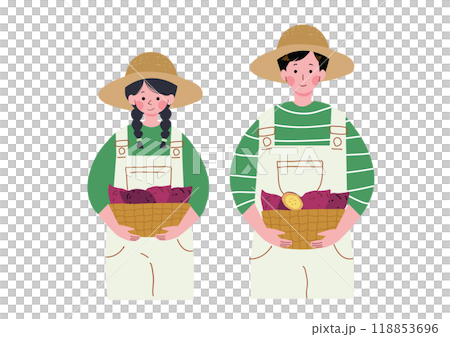 在紅薯農場工作的男女的插圖 118853696