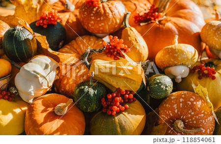 Autumn background with decorative pumpkins, berries and leaves close up. Autumn harvest composition for Thanksgiving or Halloween. 118854061