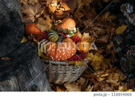 Beautiful composition with pumpkins in a basket on autumn foliage background. Festive decoration for Thanksgiving or Halloween. Beautiful composition with pumpkins in a basket on autumn foliage background. Festive decoration for Thanksgiving or Halloween. 118854068
