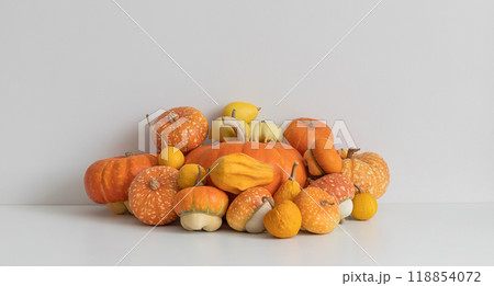 Ripe various pumpkins on white table. Autumn pumpkin harvest. Organic vegetables. Copy space. Ripe various pumpkins on white table. Autumn pumpkin harvest. Organic vegetables. Copy space. 118854072