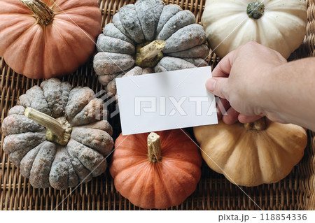 Female hand holding blank white paper greeting card, invitation. Business card mockup. Halloween, Thanksgiving background with pumpkins, blurred willow basket texture. Autumn top view. 118854336