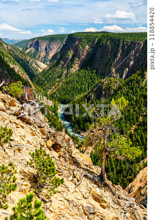 Grand Canyon of the Yellowstone at Yellowstone National Park. UNESCO world heritage in Wyoming, United States 118854420