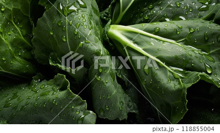 Pile of fresh collard green with glistening droplets of water. Advertising photography. Neural network ai generated art Pile of fresh collard green with glistening droplets of water. Advertising photography. Neural network ai generated art 118855004