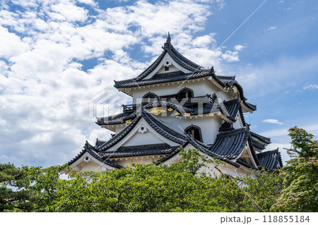 彦根城内の景色 118855184