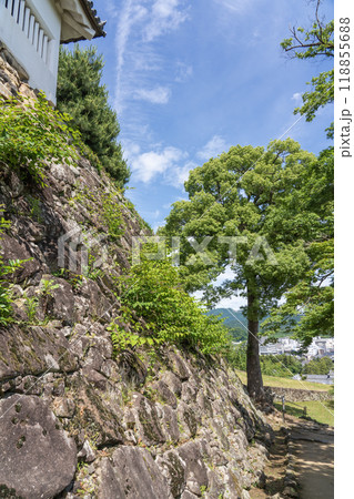 彦根城内の景色 彦根城内の景色 118855688