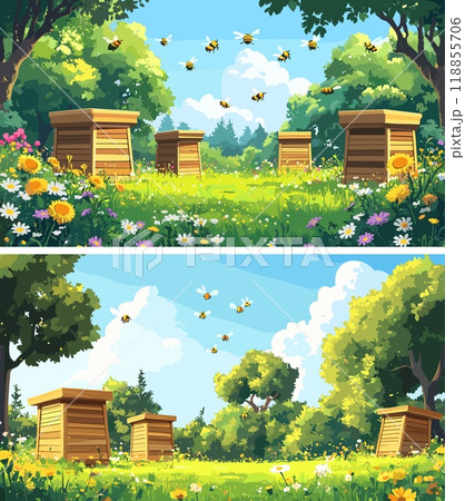 Countryside pasture bee yard nature meadow apiary cartoon vector concepts. Timber beehives hives plants trees field forest blooming flowers nectar harvesting, beekeeping honey production rural farm 118855706