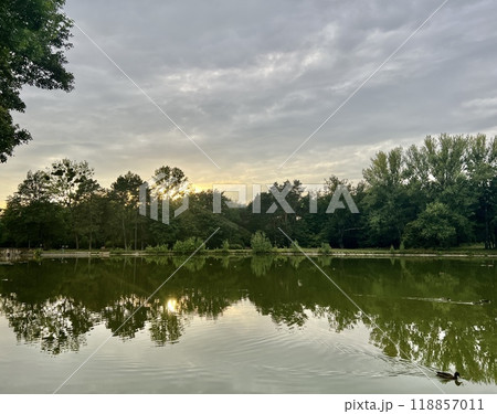 Sunset in the park with reflection of trees and clouds in the water 118857011
