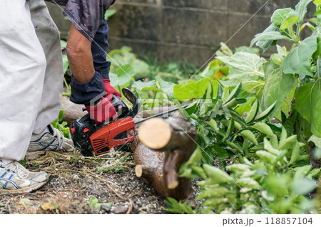チェーンソーで倒木の伐採 118857104