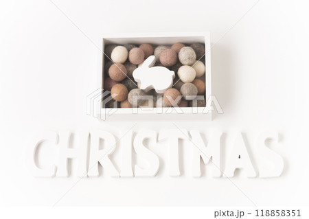 可愛い動物のホワイトクリスマス 118858351