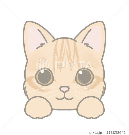 短毛種の猫のイラスト マンチカン 短毛種の猫のイラスト マンチカン 118858641