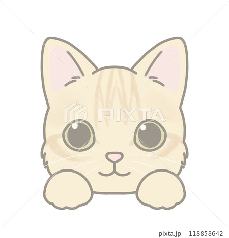 短毛種の猫のイラスト マンチカン 短毛種の猫のイラスト マンチカン 118858642